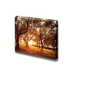 Canvas Prints Wall Art - Beautiful Scenery/Landscape Sunset in Olive Trees Garden | Modern Wall Decor/Home Decoration Stretched Gallery Canvas Wrap Giclee Print & Ready to Hang - 12" x 18"