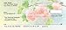 Watercolor Flowers Personal Checks (1 Box Singles)