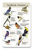 Birdsong Identiflyer Songcard - Yardbirds Western