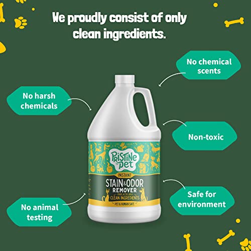 Pristine Pet Instant Stain & Odor Eliminator with Micellar Water & OXY