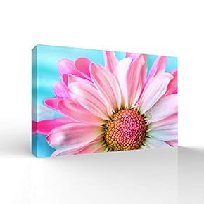 Canvas Wall Art Beautiful Flowers Pictures Home Wall Decorations for Bedroom Living Room Paintings Canvas Prints Framed - 12x18 inches
