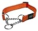 Rogz Utility Extra Large 1-Inch Reflective Lumberjack Obedience Half-Check Dog Collar, Orange