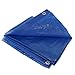 10 X 10 Blue Tarp Cover Patio Canopy Shade Yard 10x10