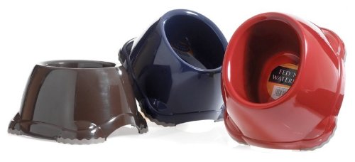 spaniel drinking bowl