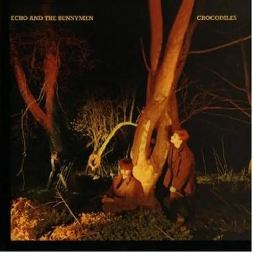 ECHO & THE BUNNYMEN - Heaven Up Here - Amazon.com Music