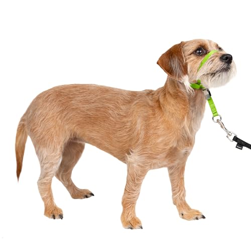 PetSafe Gentle Leader No-Pull Dog Headcollar - The Ultimate Solution to Pulling - Redirects Your Dogs Pulling for Easier Walks - Helps You Regain Control - Small, Apple Green