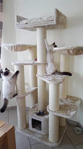 Rhrquality Cat Tree For Large Cats Maine Coon Fantasy Beige Xxl Extra Big Breed Trees Scratch Post And Adult Towers Furniture Scratcher Activity