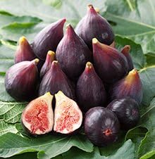 3 Gallon - Brown Turkey Fig