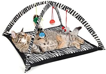 kitten play tent