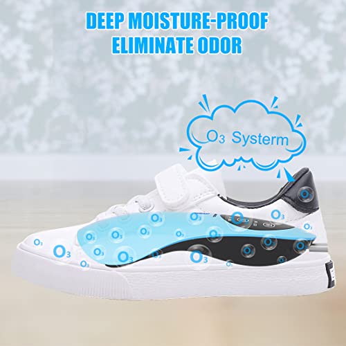 Boot Dryer Electric,Shoe Dryer And Deodorizer With Timer, Portable Ski