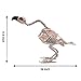 JOYIN Halloween Decoration 16” Pose-N-Stay Vulture Skeleton Plastic Bones with Posable Joints for Pose Skeleton Prop Indoor/Outdoor Spooky Scene Party Favors Décor.