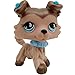 Lps Collectable Rare Figures Toy with lps Accessories Kids Gift (lps #893)
