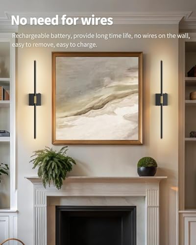 Wall Sconces Set of 2 Battery Operated, Wireless USB Rechargeable Wall Lights with Remote Control, 360° Rotation, 8000mAh LED Dimmable Picture Lamp for Living Room, Bedroom, Hallway