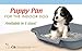 PuppyGoHere Dog Litter Box, Blacksmith Black Color, Small Size, Durable & Pet Safe Puppy Litter Box, Indoor Open Top Entry Dog Litter Pan, Comfortable for Dogs, Great for Small Dogs up to 6 lbs