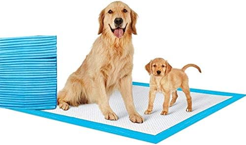 dog training touch pad