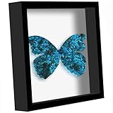 Picrit shadow box frame 12x12, Display Case Box