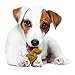 Nylabone Healthy Edibles Dino Dudes Natural Long Lasting Dog Chew Treats, Chicken, 15 Count,