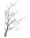 Stickerbrand© Nature Vinyl Wall Art Bare Tree Branch Wall Decal Sticker - Black, 72