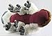 Large Appa Plush Avatar Jumbo _ 20