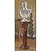 Design Toscano AE1180 Imperial Pedestal Column Plant Stand, Large, 36 Inch, Cherrythumb 2