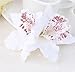 MorningRising 20 Pcs Multicolor Women Girls Orchid Flower Bohemian Leopard Hair Clip Wedding Party Beach Bridal Hairclip Hair Pins Hair Barrette Accessories