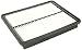 Genuine Hyundai (28113-2W100) Air Filter primary