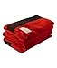 Woolrich 72 by 90-Inch Hudson Bay 4 Point Blanket, Scarlet with Black Stripes