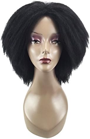 COPLY Short Black Afro Kinky Curly Wig African American Wigs for Black Women Heat Resistant Synthetic Wig 40cm 16"