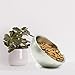 Double Wall Serving Bowl By Bezrat | Stainless Steel Dual Angle Nut and Candy Serving Dish | Solid, Balanced and Dishwasher-Safe | Metal Serving Container For Snacks - 40 Ounces