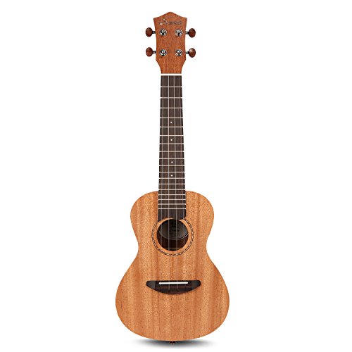 3 Donner+Ukulele+Mahogany+DUT+1+String