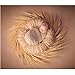 Newborn Photography Props, Newborn Photo Props, Photo Donut （20