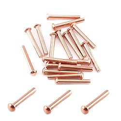 Aicosineg Solid Rivet,50Pcs T Shape Round Head