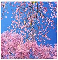 Christmas/New Year Gift Cherry Blossoms Art Design Custom Hand Towel Absorbent (13x13 inches) Soft Machine Washable Perfect for Kitchen or Bathroom Shower Towels