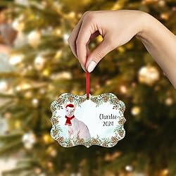 Hairless Cornish Rex Cat Christmas Ornament 2024
