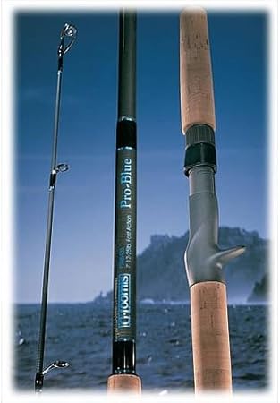 shimano calcutta rod