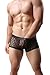 Men's Sexy Mesh Sheer Boxer Briefs Underwear Black Trunks Underpants