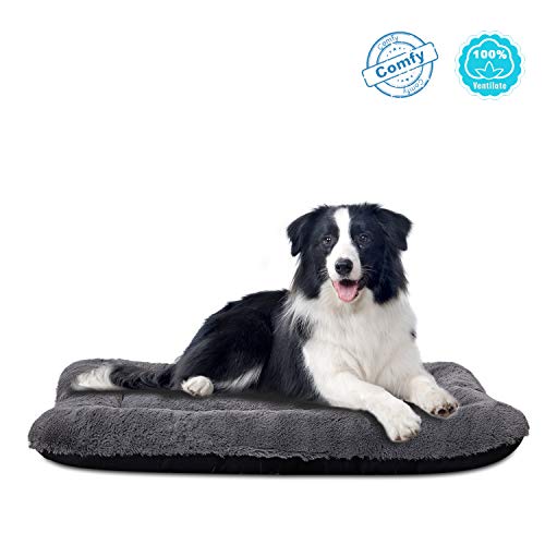 Top 10 Dog Beds For Large Size Dogs of 2020 No Place Called Home
