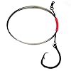 Shark-Rig-270-Cable-160-Circle-Hook