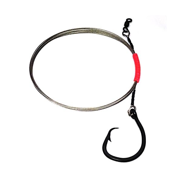Shark-Rig-270-Cable-160-Circle-Hook