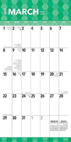 Large Print 2020 12 x 12 Inch Monthly Square Wall Calendar, Easy to See with Large Font