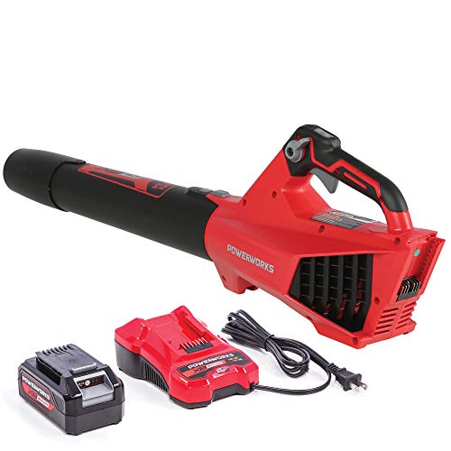Best Rated Cordless Leaf Blower | rated cordless leaf blower reviews