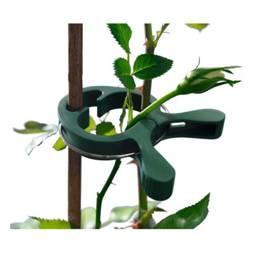 QCI Direct Plant Clips Set of 15