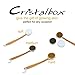 Cristalbox 3 in 1 Best Body Bath Brush, Improves Skin`s Health and Beauty, Great for Cellulite, Exfoliating, and Dry Skin removal, 1 Horse Hair(Hard), 1 Boar Bristles(medium),1 Nanofiber Hair(Soft)