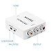 HDMI Converter,NUTK 1080P HDMI to AV 3RCA CVBs Composite Video Audio Converter Adapter Supporting PAL/NTSC with USB Charge Cable for PC Laptop Xbox PS4 PS3