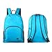 MIU COLOR Foldable and Durable Lightweight Backpack - Packable Waterproof Daypack, Blue