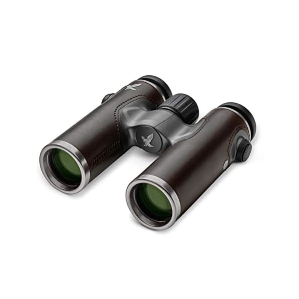 Swarovski Fernglas CL Companion Nomad 10x30 B