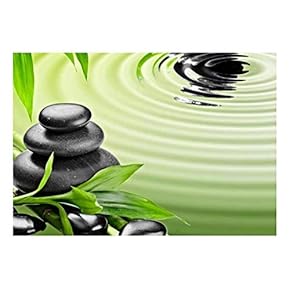 Rocks Over Bamboo Branches on a Lake - Wall Mural, Removable Sticker, Home Decor - 66x96 inches