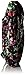 Vera Bradley Signature Cotton Triple Zip Hipster Crossbody Purse, Winter Berry