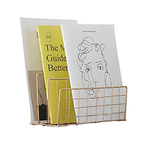 Fovolat | Nordic Style Grid Wrought Iron Newspapers and Periodicals Rack Book Magazine File Storage Rack for Home Office