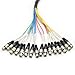 Seismic Audio - SAXT-16x10F - 16 Channel 10' XLR Female to 1/4
